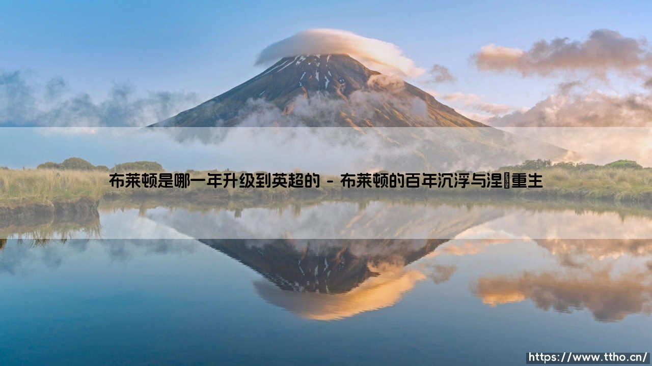 布莱顿升入英超的里程碑:2017年改写海鸥军团历史-第1张图片-天体号 布莱顿升入英超的里程碑:2017年改写海鸥军团历史-第1张图片-天体号