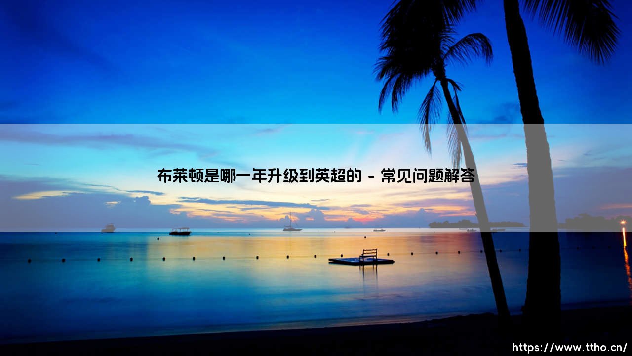 布莱顿升入英超的里程碑：2017年改写海鸥军团历史-第4张图片-天体号