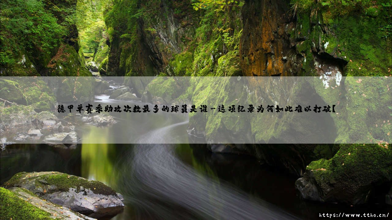 德甲单赛季助攻次数最多的球员是谁？德甲单赛季助攻次数最多的球员的背后故事-第3张图片-天体号