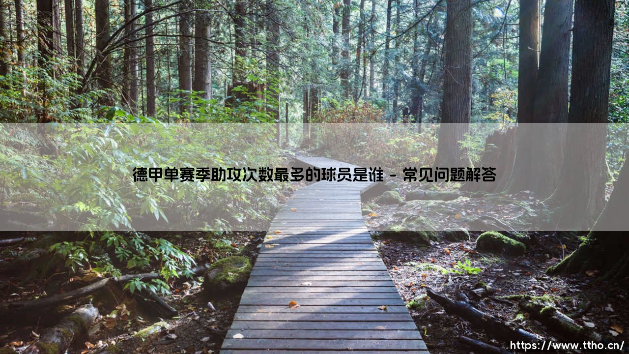 德甲单赛季助攻次数最多的球员是谁？德甲单赛季助攻次数最多的球员的背后故事-第4张图片-天体号