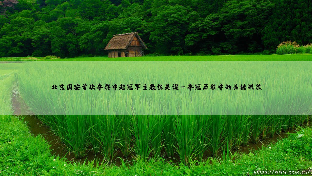 北京国安首次夺得中超冠军主教练是谁？北京国安首夺中超冠军的教头-第3张图片-天体号