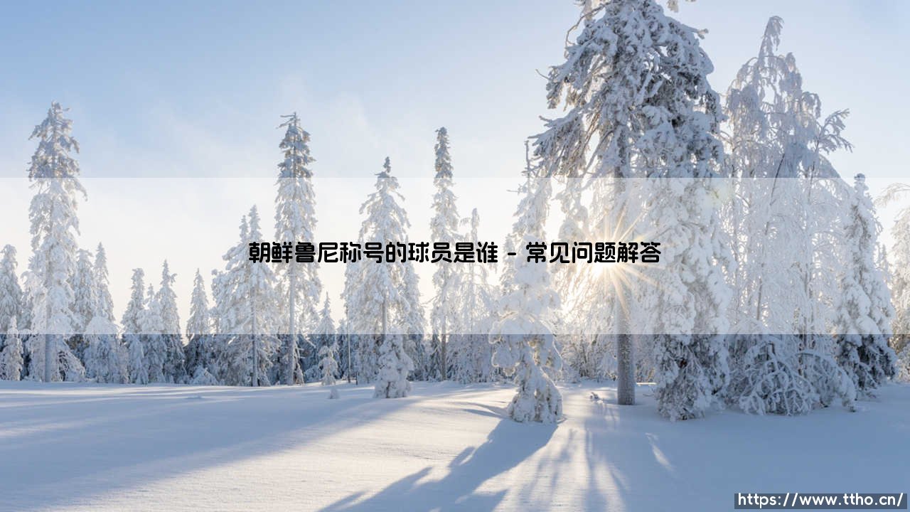 朝鲜鲁尼称号的球员是谁？朝鲜鲁尼到底是哪位球星？-第4张图片-天体号