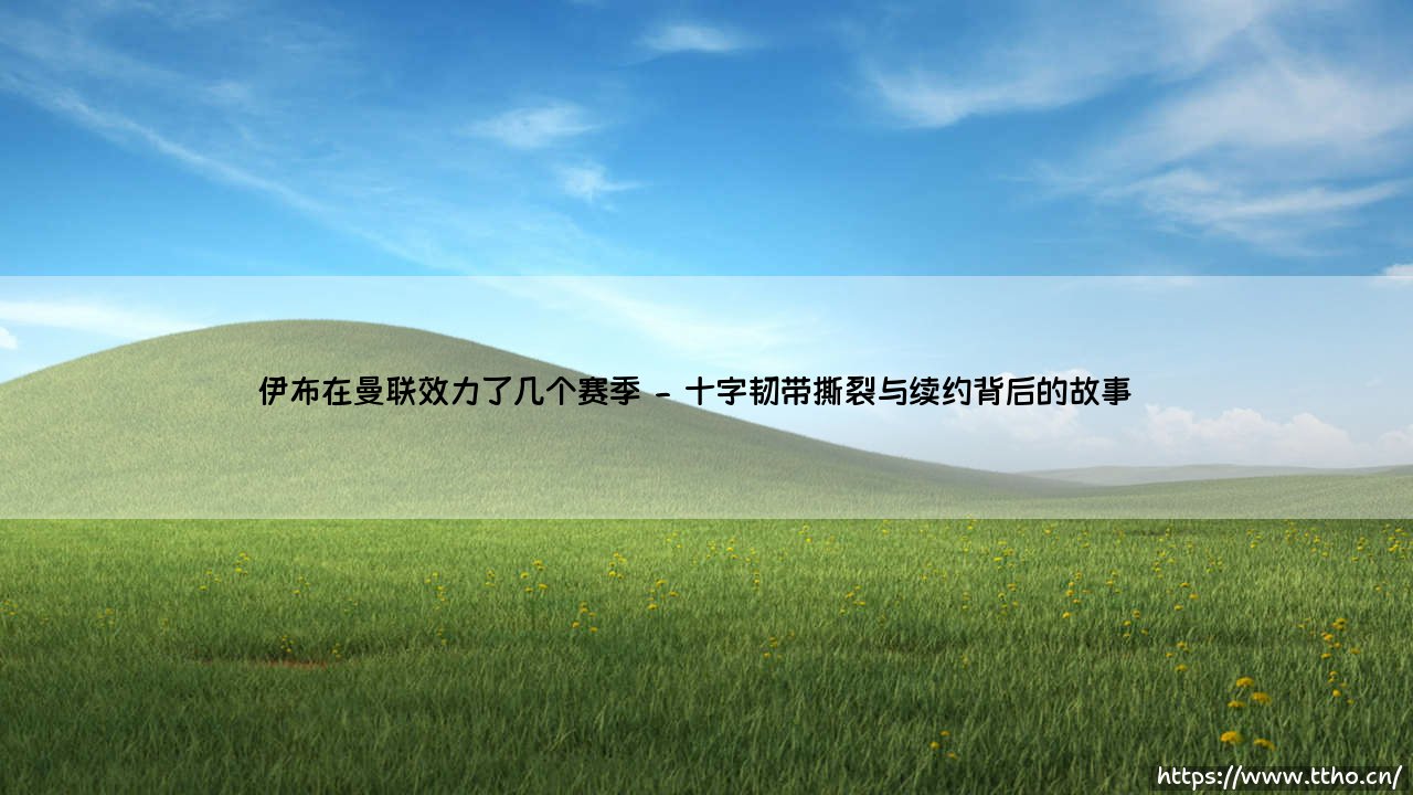 伊布在曼联效力了几个赛季?回顾瑞典神锋的老特拉福德岁月-第2张图片-天体号 伊布在曼联效力了几个赛季?回顾瑞典神锋的老特拉福德岁月-第2张图片-天体号
