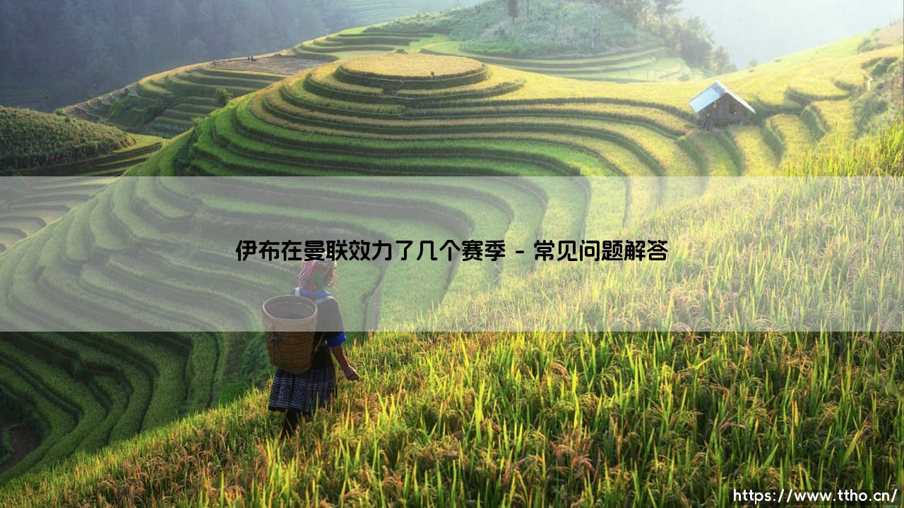 伊布在曼联效力了几个赛季？回顾瑞典神锋的老特拉福德岁月-第4张图片-天体号