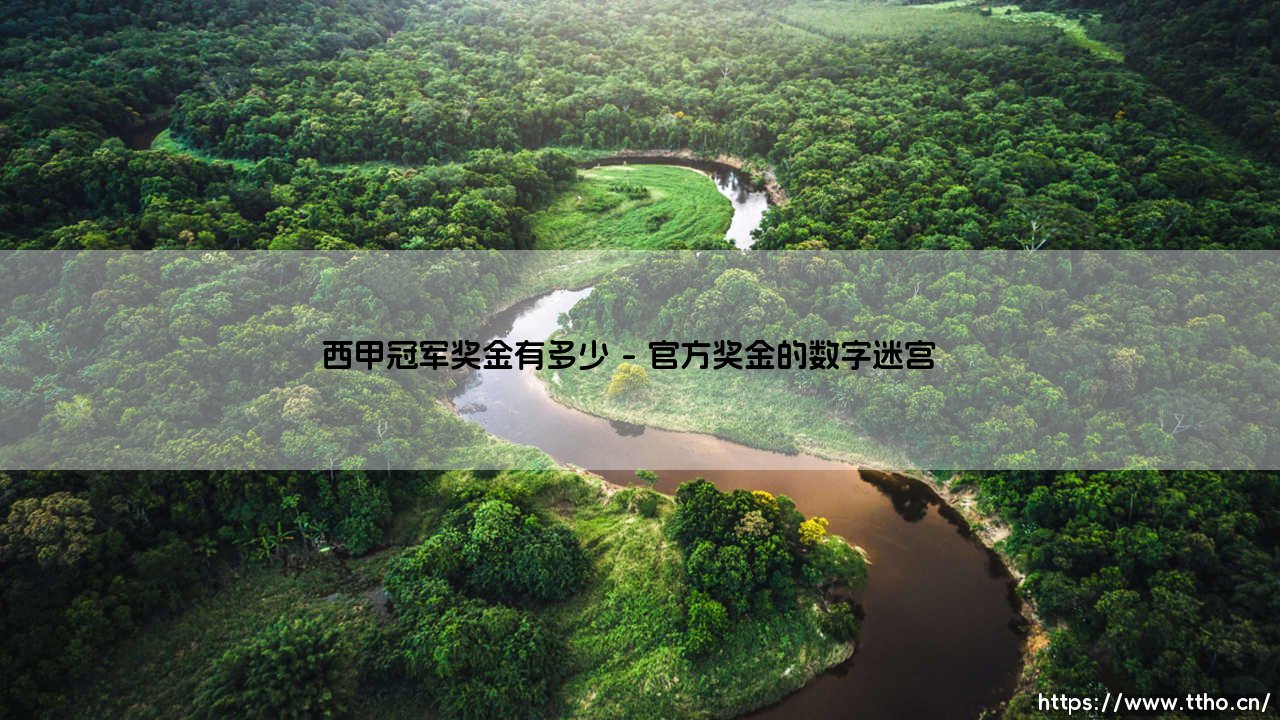 西甲冠军奖金有多少?西甲冠军荣耀背后的数字密码-第1张图片-天体号 西甲冠军奖金有多少?西甲冠军荣耀背后的数字密码-第1张图片-天体号