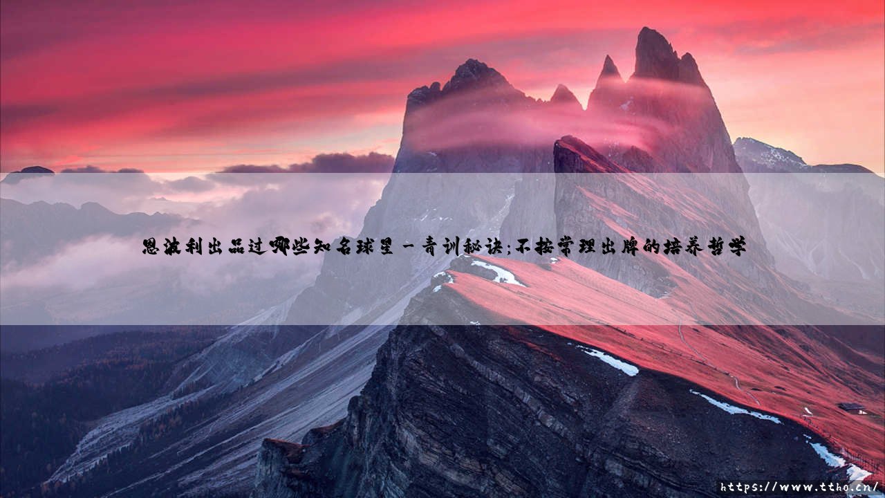 恩波利出品过哪些知名球星？意甲联赛隐藏的球星加工厂-第3张图片-天体号