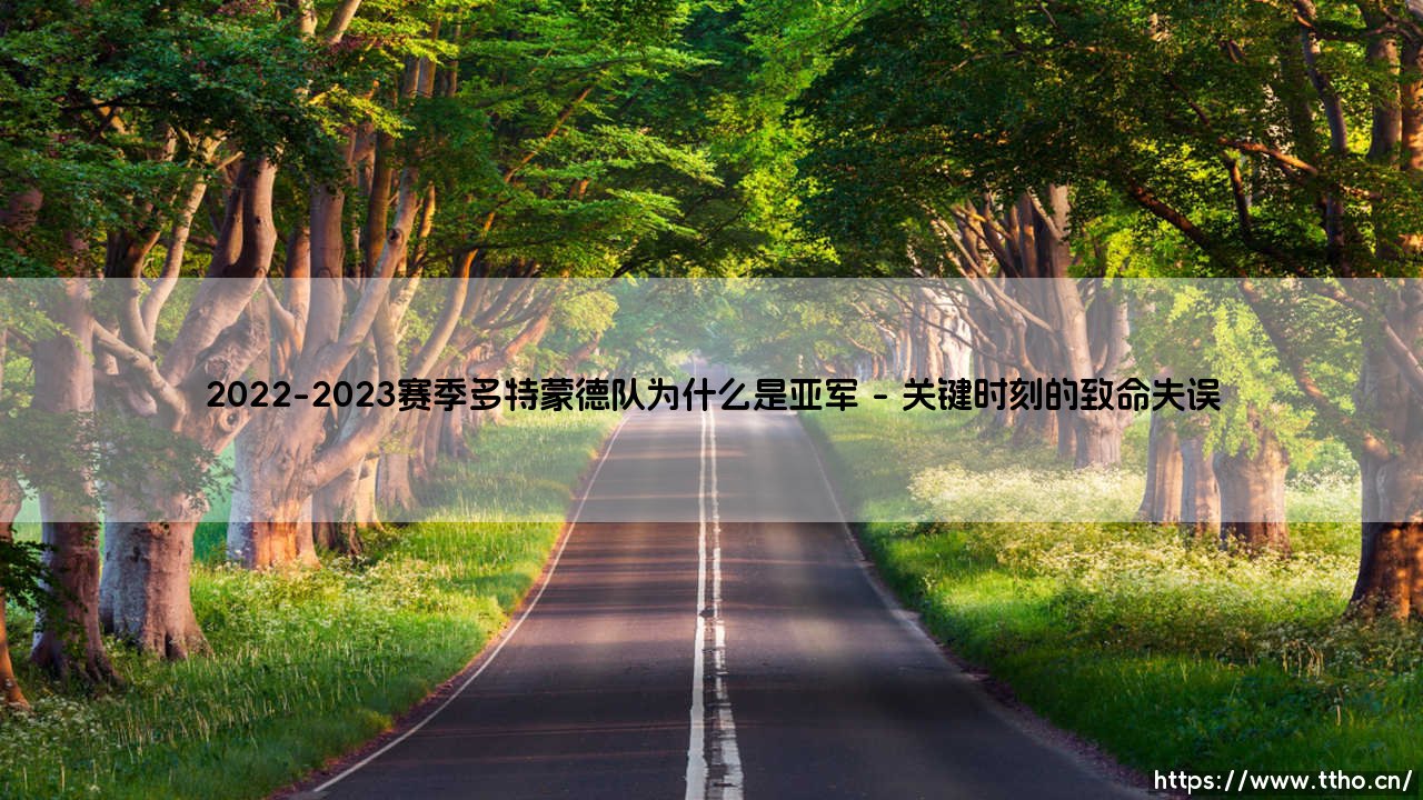 2022-2023赛季多特蒙德队为什么是亚军？一场令人心碎的德甲冠军争夺战-第1张图片-天体号