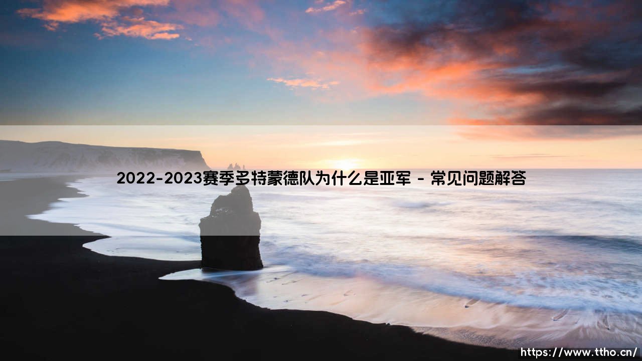 2022-2023赛季多特蒙德队为什么是亚军？一场令人心碎的德甲冠军争夺战-第4张图片-天体号