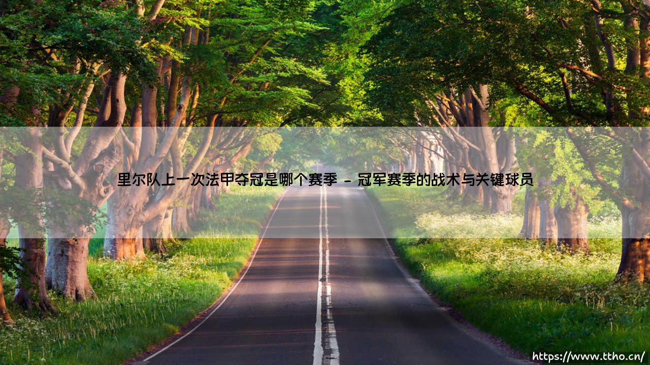 里尔队上一次法甲夺冠是哪个赛季？揭秘法甲黑马的传奇征程-第2张图片-天体号