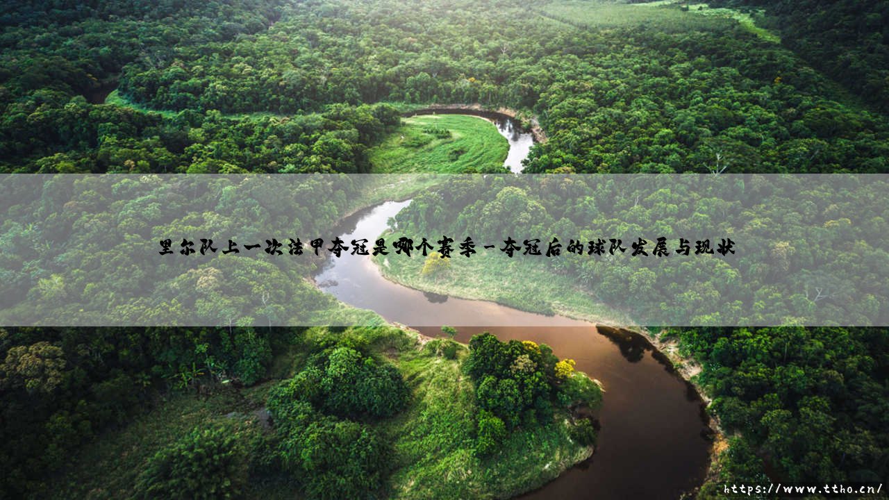 里尔队上一次法甲夺冠是哪个赛季？揭秘法甲黑马的传奇征程-第3张图片-天体号