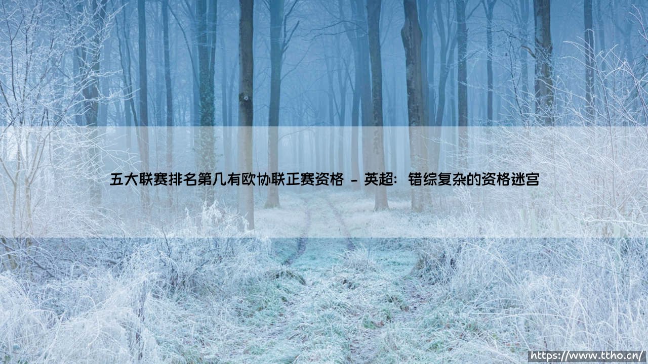 五大联赛排名第几有欧协联正赛资格?一文读懂欧战席位分配规则「五大联赛欧协联资格解析」-第2张图片-天体号 五大联赛排名第几有欧协联正赛资格?一文读懂欧战席位分配规则「五大联赛欧协联资格解析」-第2张图片-天体号