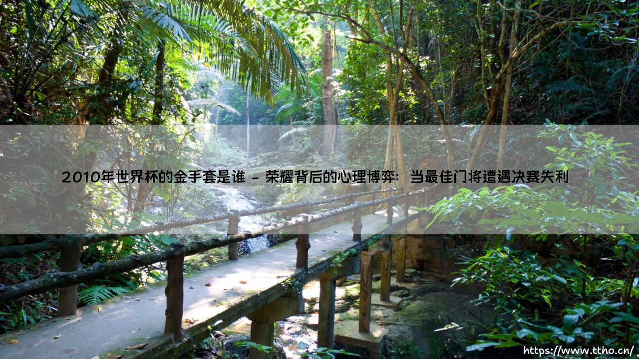 2010年世界杯的金手套得主:荣耀背后的人性光辉与职业抉择-第2张图片-天体号 2010年世界杯的金手套得主:荣耀背后的人性光辉与职业抉择-第2张图片-天体号