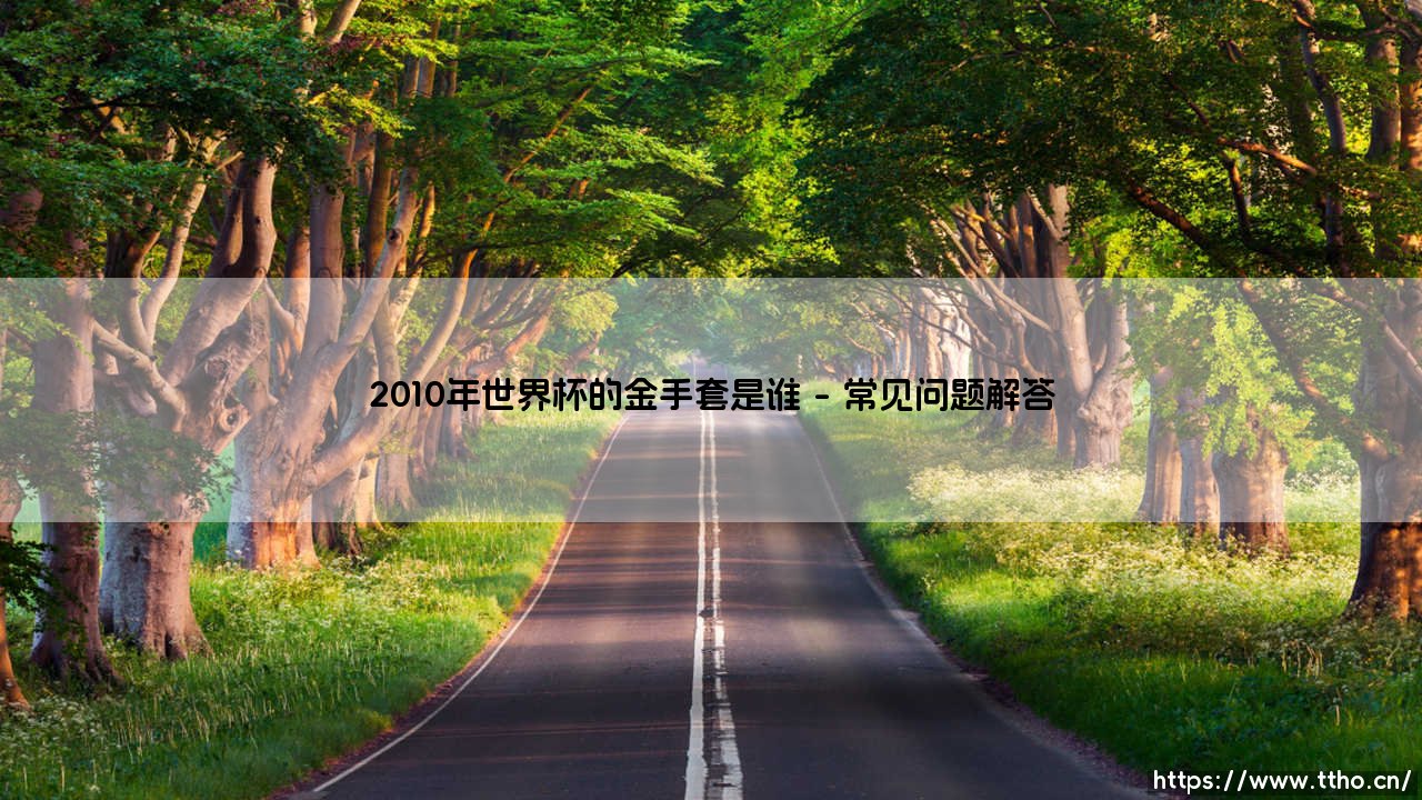 2010年世界杯的金手套得主：荣耀背后的人性光辉与职业抉择-第4张图片-天体号