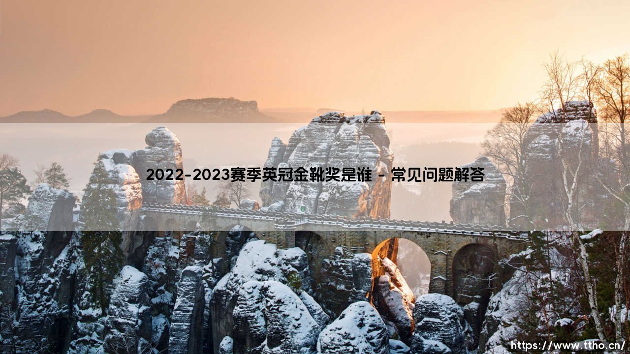 2022-2023赛季英冠金靴奖花落谁家？这匹黑马让人直呼意外-第4张图片-天体号