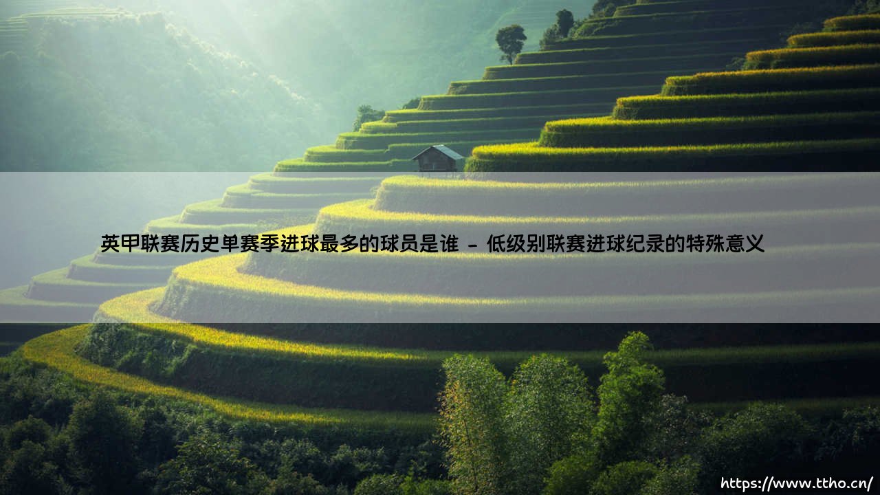 英甲联赛历史单赛季进球最多的球员是谁？英甲联赛历史上一个被遗忘的进球机器-第2张图片-天体号