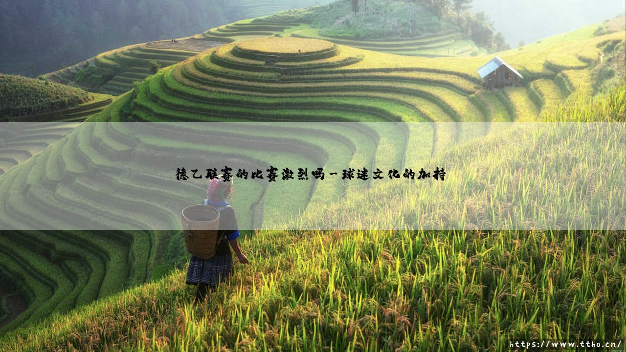 德乙联赛的比赛激烈吗?深度解析德乙联赛的竞技魅力-第3张图片-天体号 德乙联赛的比赛激烈吗?深度解析德乙联赛的竞技魅力-第3张图片-天体号