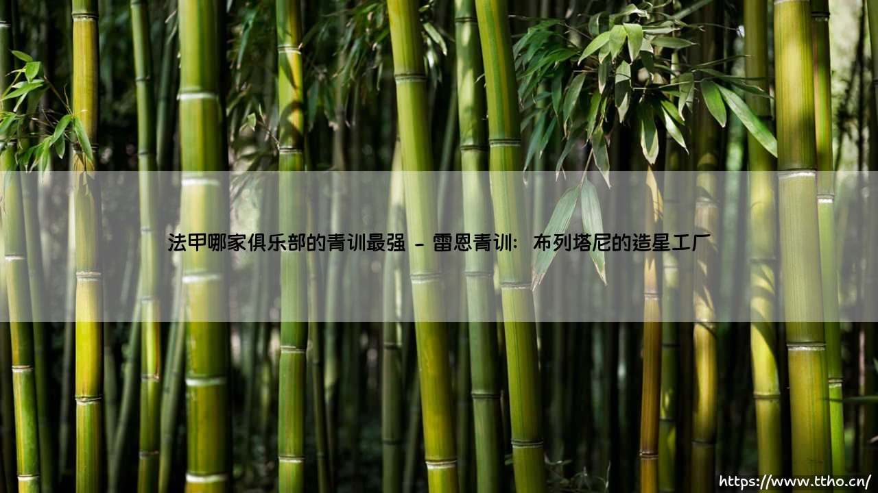 法甲哪家俱乐部的青训最强?揭秘法国足球的人才工厂-第2张图片-天体号 法甲哪家俱乐部的青训最强?揭秘法国足球的人才工厂-第2张图片-天体号