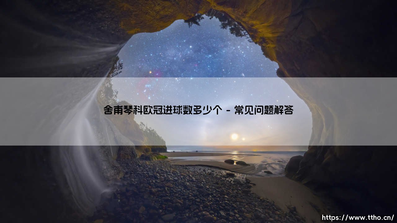 舍甫琴科欧冠进球数多少个？详解乌克兰核弹头的欧战传奇-第4张图片-天体号