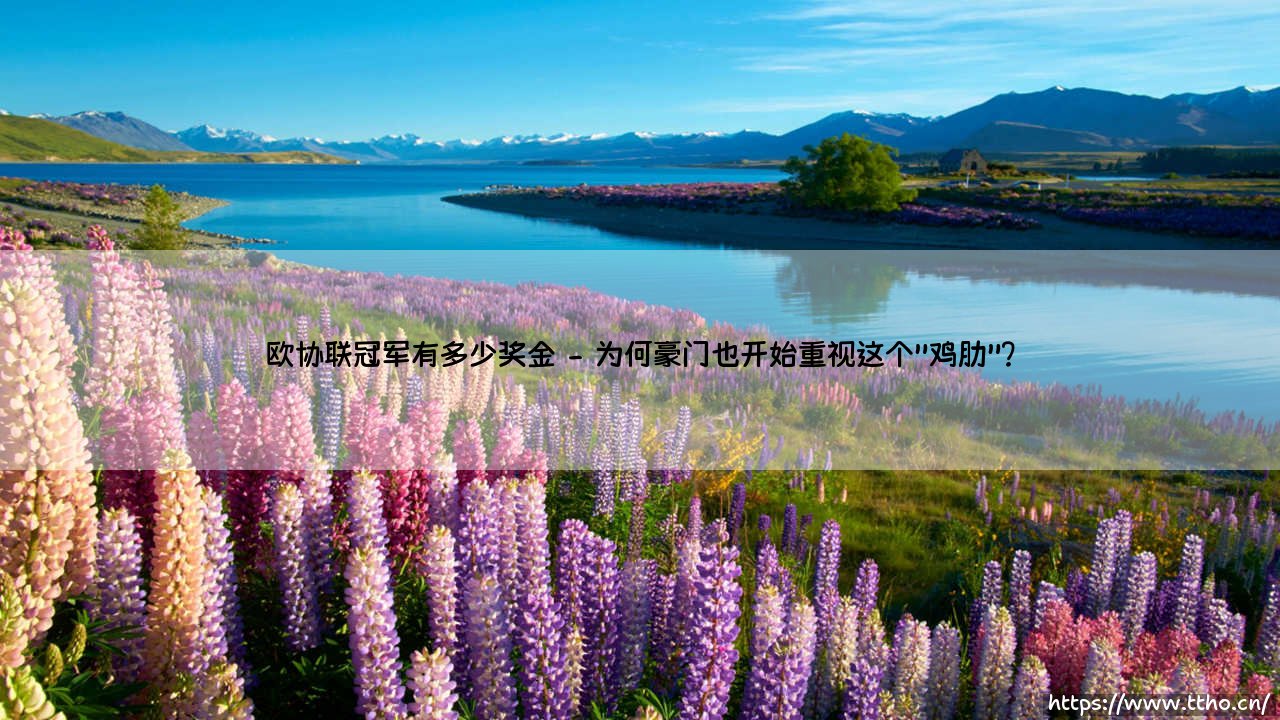 欧协联冠军奖金揭秘:这笔钱到底值不值得豪门拼命?-第2张图片-天体号 欧协联冠军奖金揭秘:这笔钱到底值不值得豪门拼命?-第2张图片-天体号