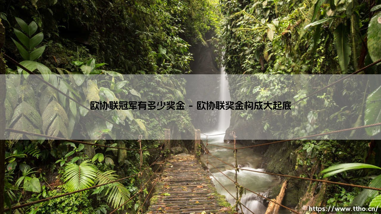欧协联冠军奖金揭秘:这笔钱到底值不值得豪门拼命?-第1张图片-天体号 欧协联冠军奖金揭秘:这笔钱到底值不值得豪门拼命?-第1张图片-天体号
