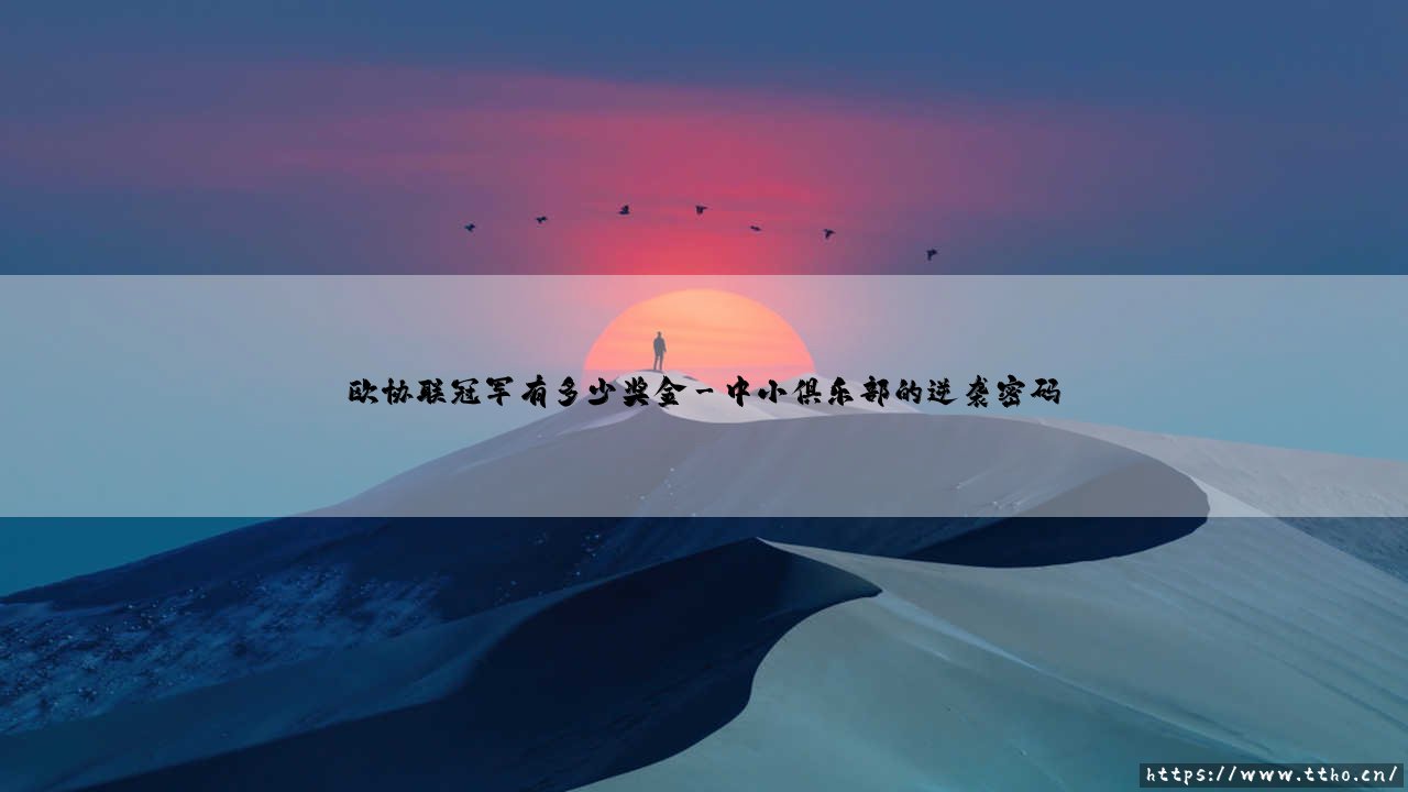 欧协联冠军奖金揭秘:这笔钱到底值不值得豪门拼命?-第3张图片-天体号 欧协联冠军奖金揭秘:这笔钱到底值不值得豪门拼命?-第3张图片-天体号