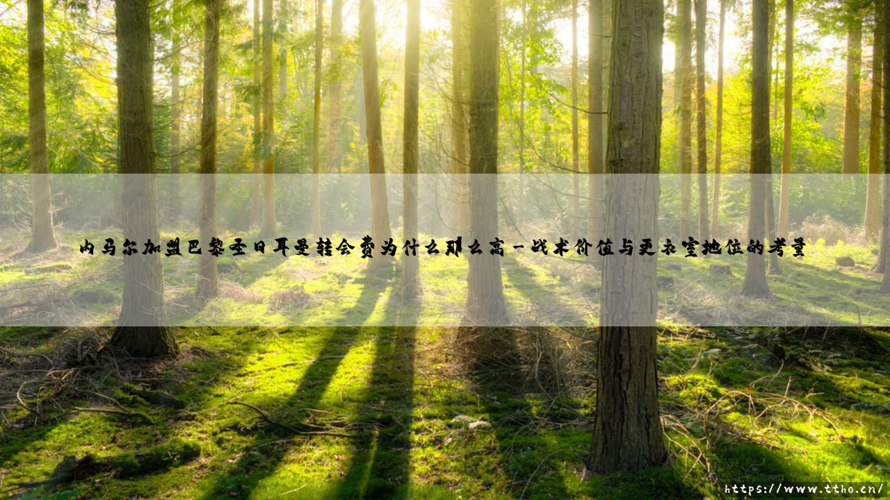 内马尔加盟巴黎圣日耳曼转会费为什么那么高?-第3张图片-天体号 内马尔加盟巴黎圣日耳曼转会费为什么那么高?-第3张图片-天体号