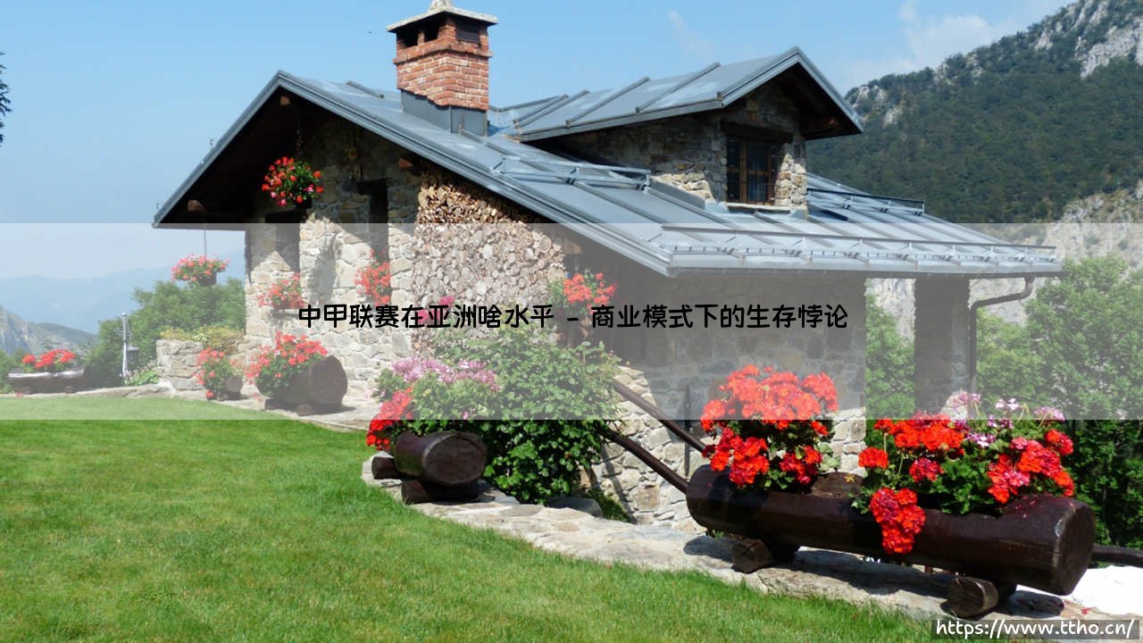 中甲联赛在亚洲足坛的真实定位:夹缝中的生存哲学-第2张图片-天体号 中甲联赛在亚洲足坛的真实定位:夹缝中的生存哲学-第2张图片-天体号