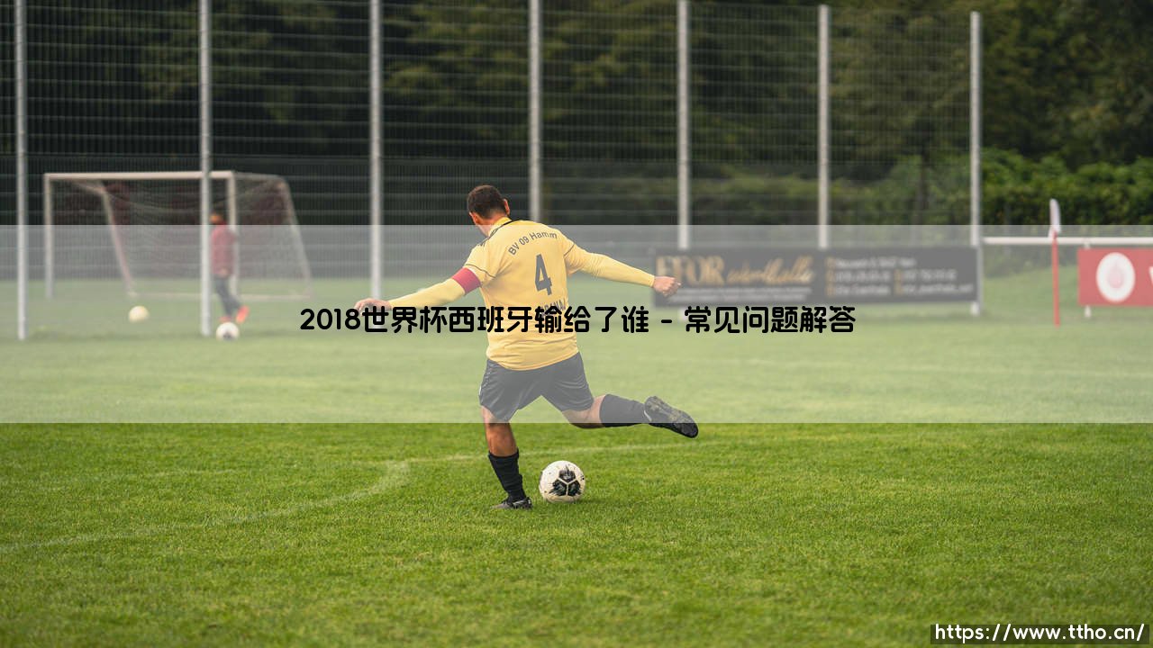 2018世界杯西班牙输给了谁？「斗牛士军团」的滑铁卢之战：谁终结了西班牙的夺冠梦？-第5张图片-天体号