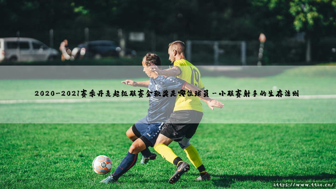 2020-2021赛季丹麦超级联赛金靴奖得主:北欧锋霸的逆袭密码-第3张图片-天体号 2020-2021赛季丹麦超级联赛金靴奖得主:北欧锋霸的逆袭密码-第3张图片-天体号