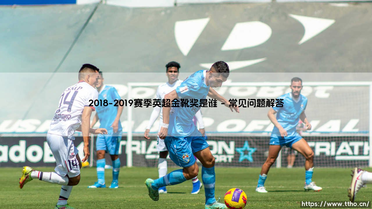 2018-2019赛季英超金靴奖得主：当进球艺术遇上时代变革-第4张图片-天体号