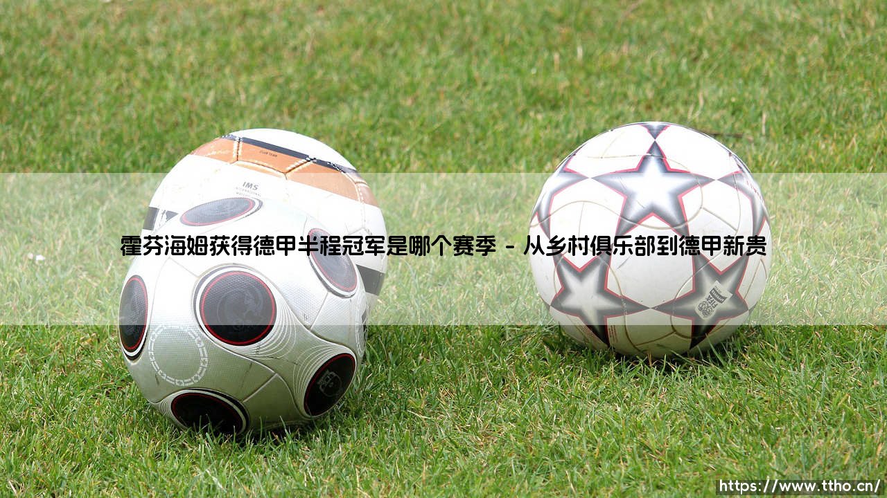 2008-2009赛季德甲半程冠军:霍芬海姆获得德甲半程冠军的传奇赛季回顾-第1张图片-天体号 2008-2009赛季德甲半程冠军:霍芬海姆获得德甲半程冠军的传奇赛季回顾-第1张图片-天体号