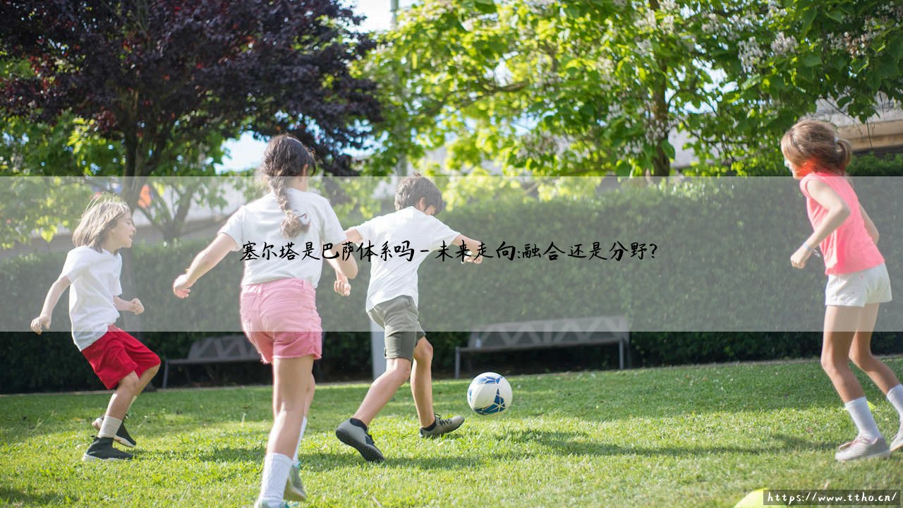 塞尔塔是巴萨体系吗？深度解析塞尔塔与巴萨的战术渊源-第4张图片-天体号