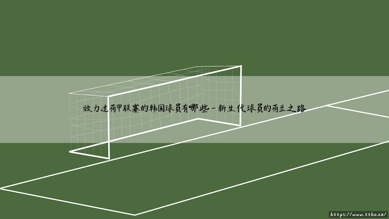 效力过荷甲联赛的韩国球员有哪些？盘点韩国足球的荷兰印记-第4张图片-天体号