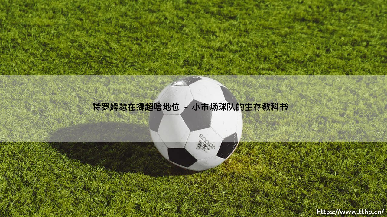 特罗姆瑟在挪超啥地位?北极圈球队如何成为挪威足球的独特存在?「特罗姆瑟足球密码」-第2张图片-天体号 特罗姆瑟在挪超啥地位?北极圈球队如何成为挪威足球的独特存在?「特罗姆瑟足球密码」-第2张图片-天体号