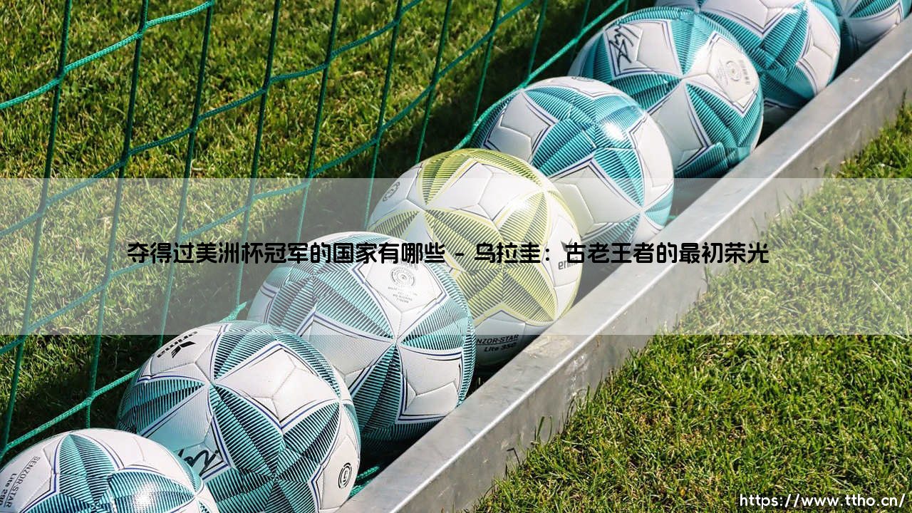 夺得过美洲杯冠军的国家有哪些?揭秘「百年荣耀」背后的足球版图变迁-第1张图片-天体号 夺得过美洲杯冠军的国家有哪些?揭秘「百年荣耀」背后的足球版图变迁-第1张图片-天体号