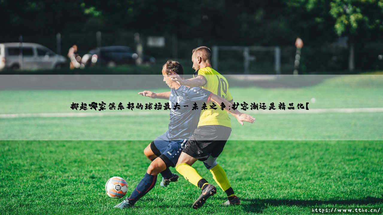 挪超哪家俱乐部的球场最大?探寻挪威足球的巨人舞台-第3张图片-天体号