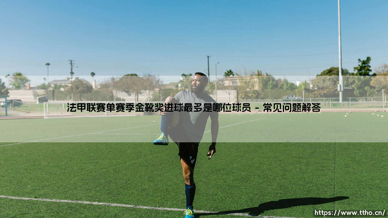 法甲联赛单赛季金靴奖进球最多纪录保持者是谁？-第4张图片-天体号