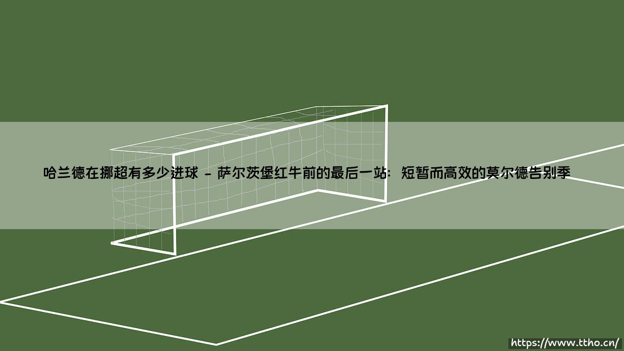 哈兰德在挪超的进球狂潮:北欧冰原上崛起的进球机器-第2张图片-天体号 哈兰德在挪超的进球狂潮:北欧冰原上崛起的进球机器-第2张图片-天体号
