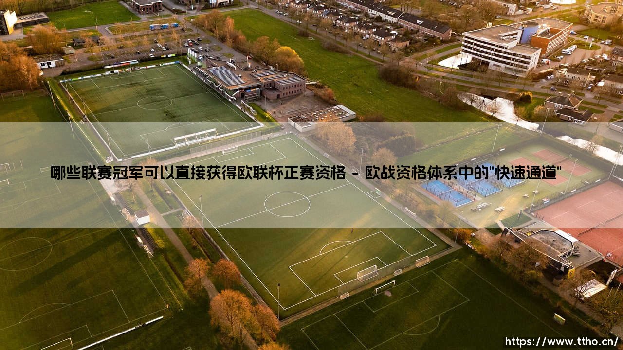 哪些联赛冠军可以直接获得欧联杯正赛资格？欧联杯足球版图背后的权力游戏-第1张图片-天体号
