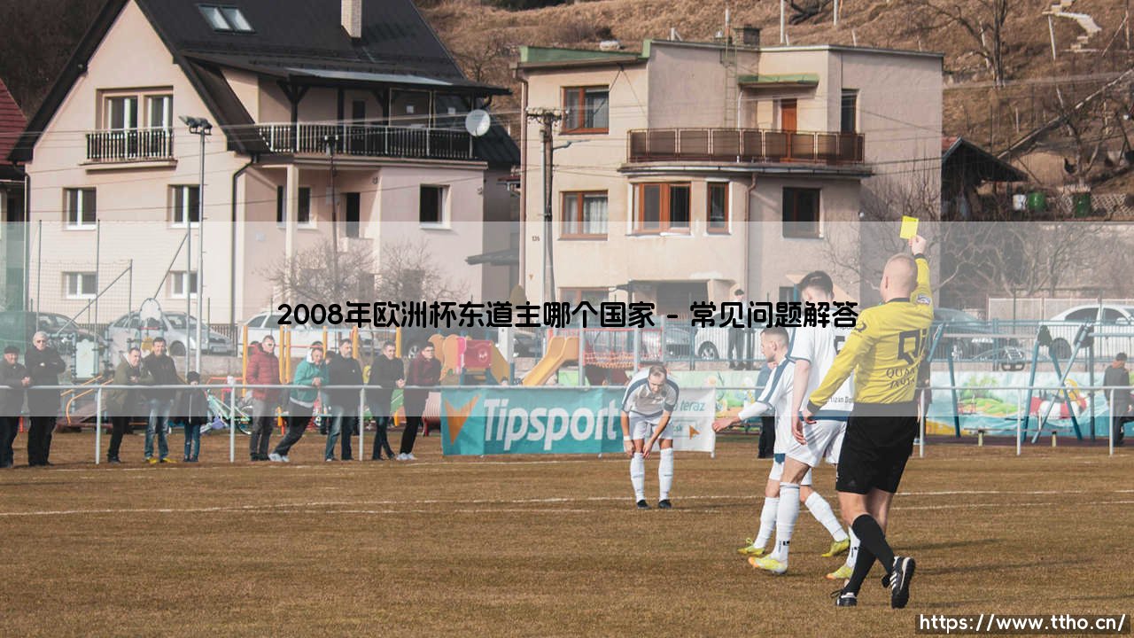 2008年欧洲杯东道主哪个国家？奥地利与瑞士的联合足球盛宴-第4张图片-天体号