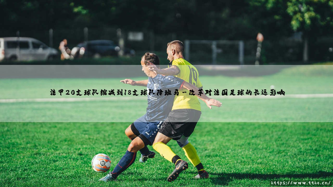 法甲20支球队缩减到18支球队引发降班马危机-第3张图片-天体号