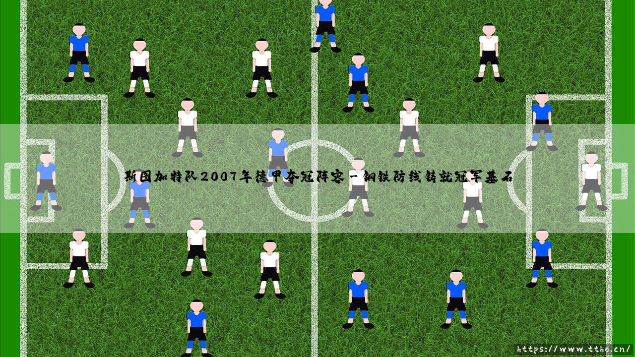 奇迹还是实力?斯图加特队2007年德甲夺冠阵容揭秘 - 一支年轻球队如何创造「青春风暴」传奇?-第3张图片-天体号 奇迹还是实力?斯图加特队2007年德甲夺冠阵容揭秘 - 一支年轻球队如何创造「青春风暴」传奇?-第3张图片-天体号
