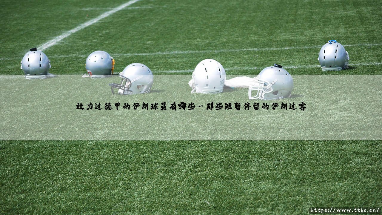 效力过德甲的伊朗球员盘点：这些亚洲面孔曾在德国足坛闪耀-第3张图片-天体号