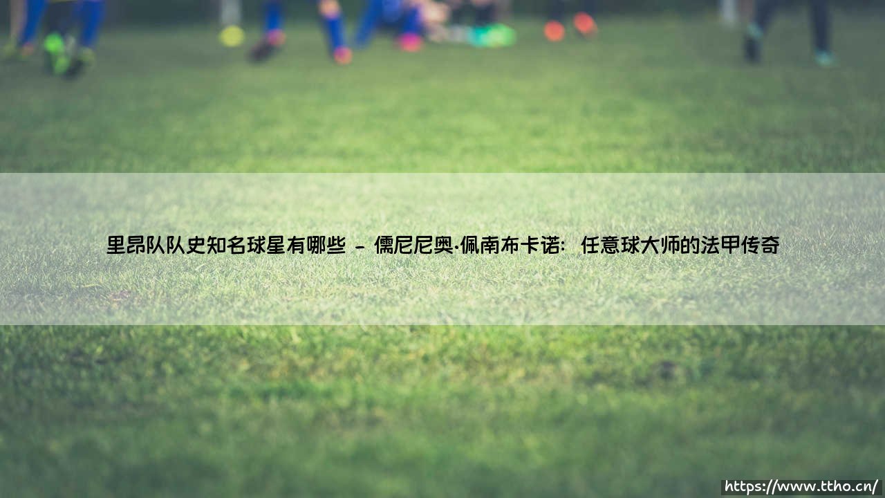 里昂队队史知名球星大盘点:那些让球迷疯狂的法甲传奇-第2张图片-天体号 里昂队队史知名球星大盘点:那些让球迷疯狂的法甲传奇-第2张图片-天体号