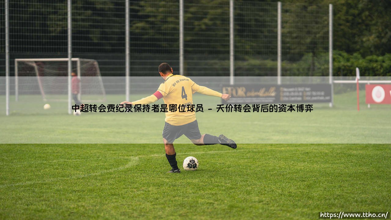中超转会费纪录保持者是哪位球员？中超转会费纪录保持者让人意外-第2张图片-天体号