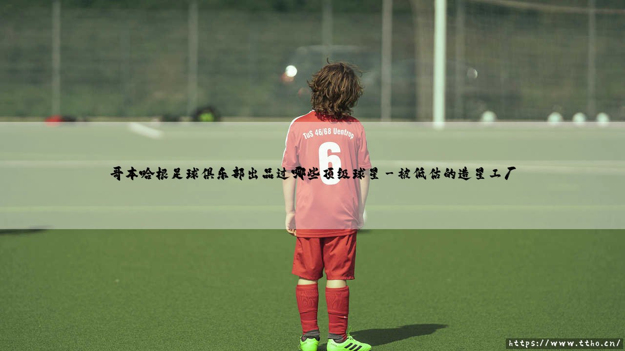哥本哈根足球俱乐部出品的顶级球星们-第3张图片-天体号 哥本哈根足球俱乐部出品的顶级球星们-第3张图片-天体号