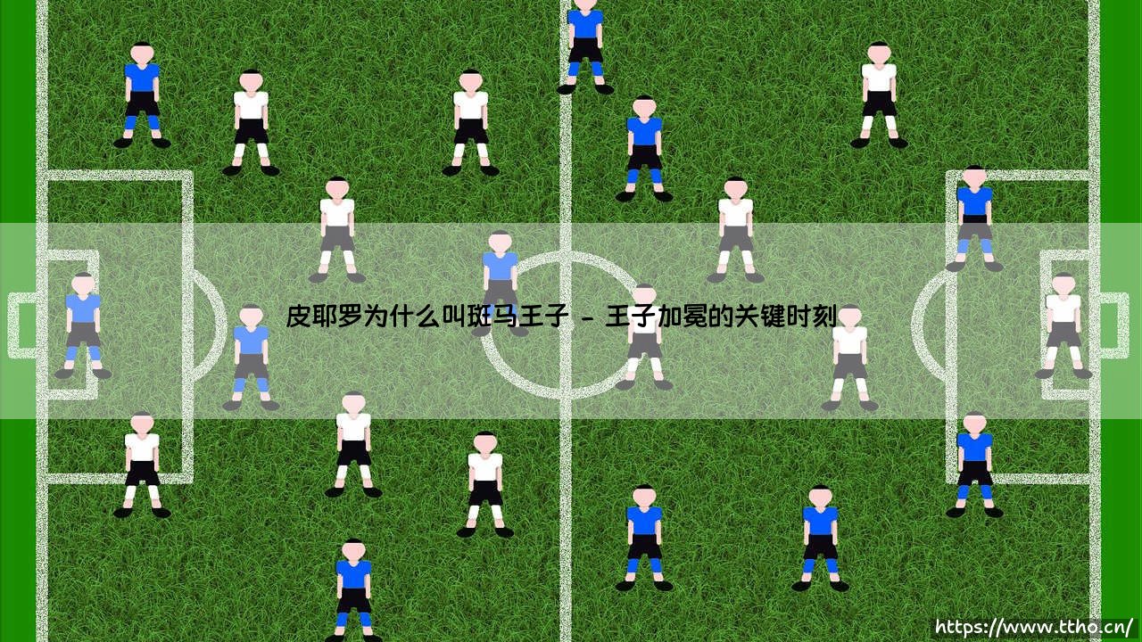 皮耶罗为什么被尊称为斑马王子?-第2张图片-天体号 皮耶罗为什么被尊称为斑马王子?-第2张图片-天体号