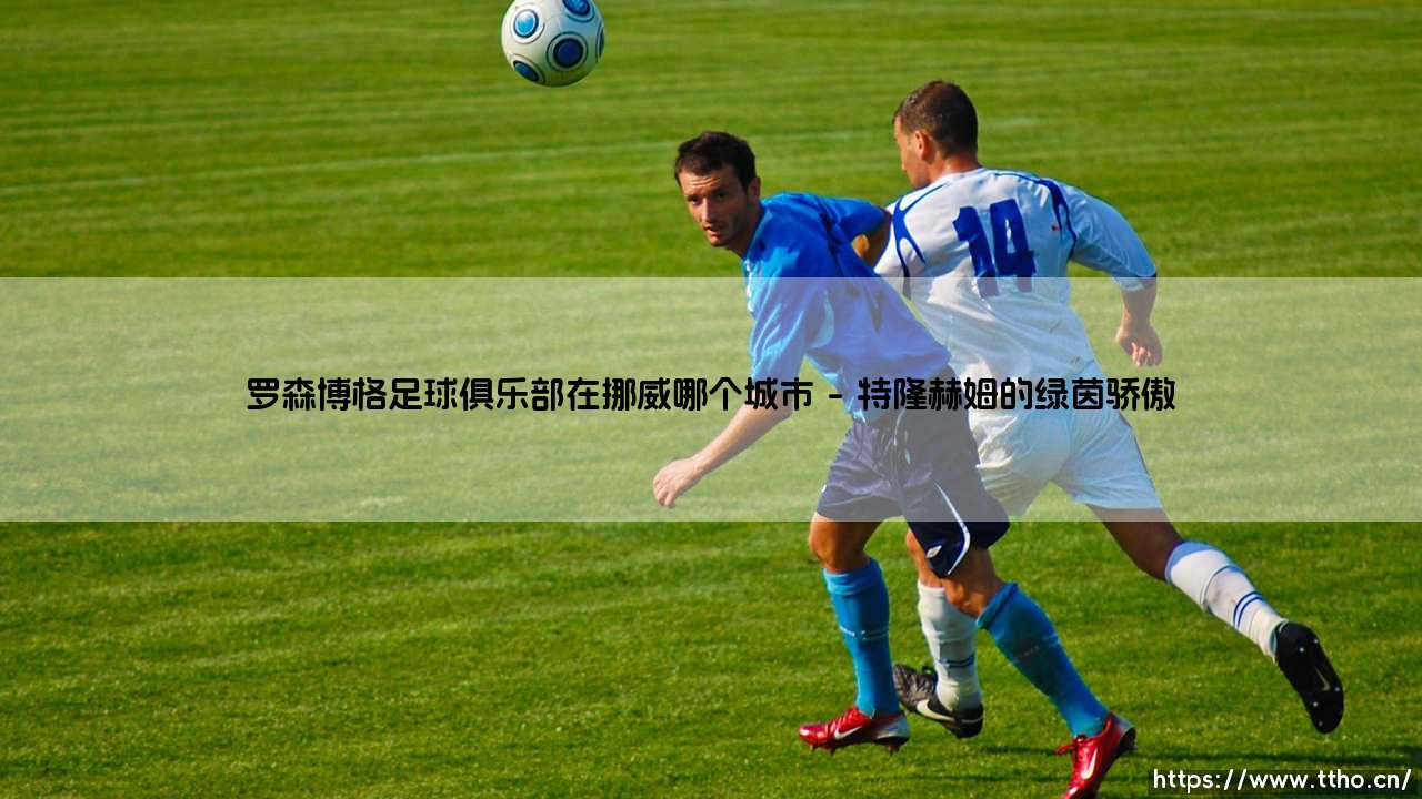 罗森博格足球俱乐部在挪威哪个城市?探寻这支北欧豪门的足球故乡「罗森博格足球俱乐部的主场究竟在哪」-第1张图片-天体号 罗森博格足球俱乐部在挪威哪个城市?探寻这支北欧豪门的足球故乡「罗森博格足球俱乐部的主场究竟在哪」-第1张图片-天体号