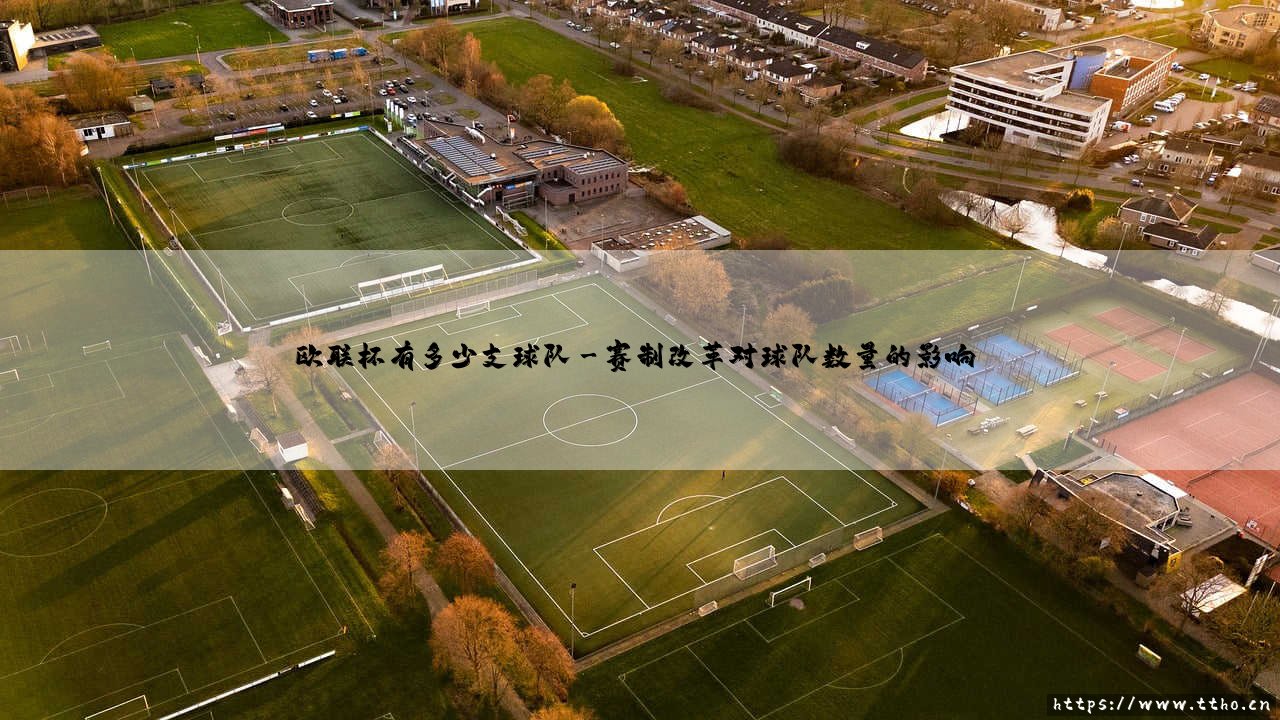 欧联杯有多少支球队?探索欧洲第二大俱乐部赛事-第3张图片-天体号 欧联杯有多少支球队?探索欧洲第二大俱乐部赛事-第3张图片-天体号