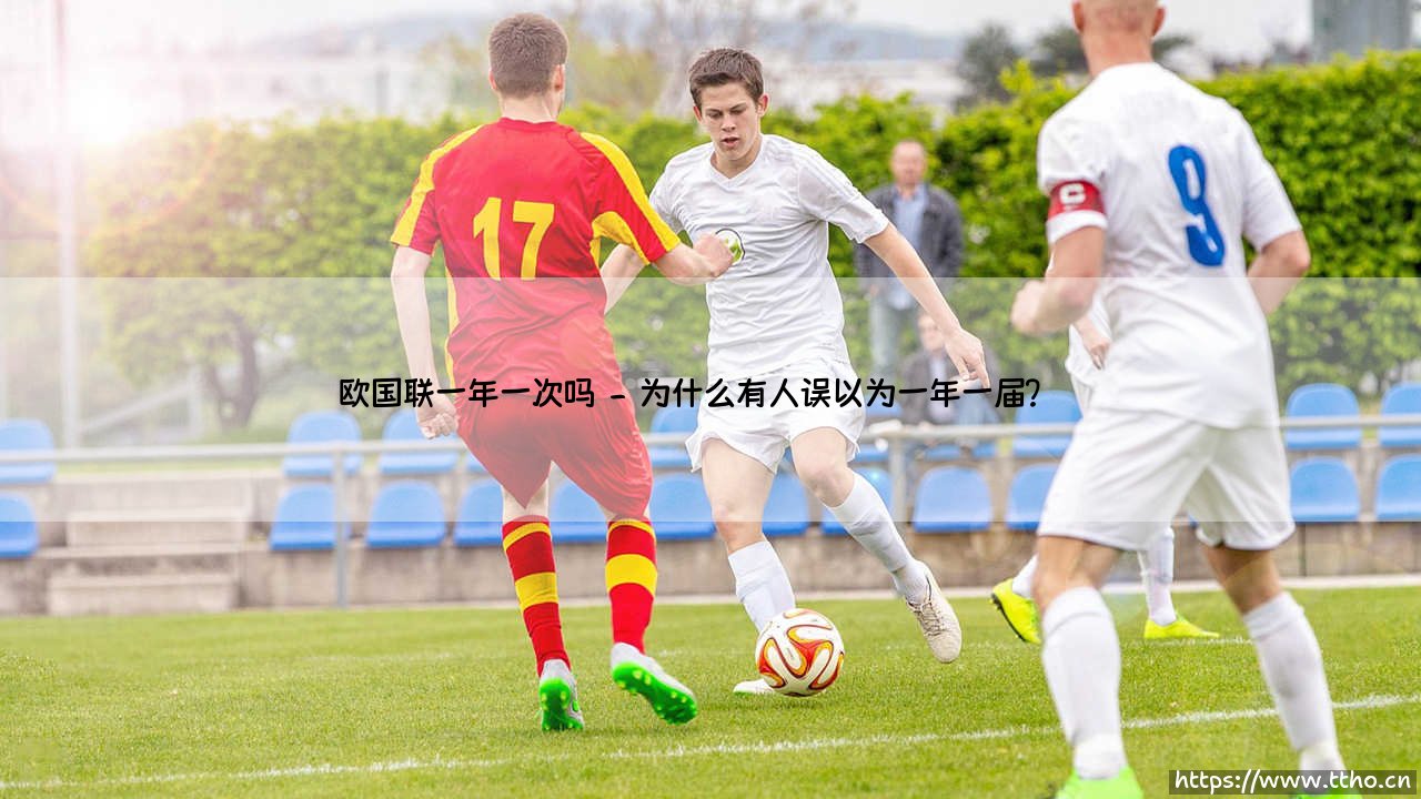 欧国联一年一次吗？揭秘这项赛事的独特赛制-第2张图片-天体号